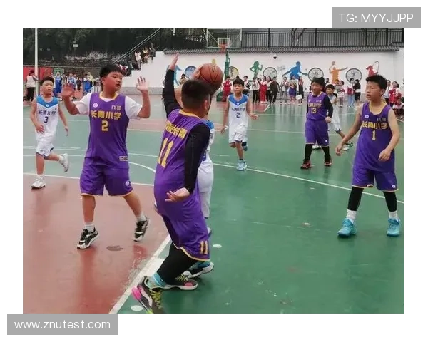 体育节篮球联赛（体校篮球联赛）sports